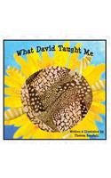 What David Taught Me