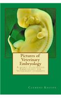 Pictures of Veterinary Embryology