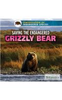 Saving the Endangered Grizzly Bear