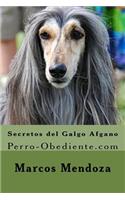 Secretos del Galgo Afgano: Perro-Obediente.com