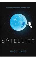 Satellite