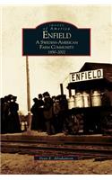 Enfield: A Swedish-American Farm Community, 1850-2002