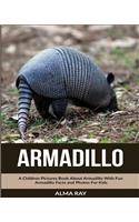 Armadillo