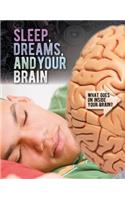 Sleep, Dreams, and Your Brain