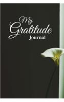 My Gratitude Journal: Keep Smiling, Laughing & Singing, Fill in the Blank Diary and Notebook