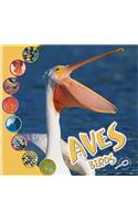 Aves