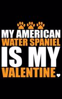 My American Water Spaniel Is My Valentine