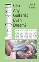 Can Any Guitarist Even Dream?