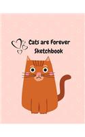 Cats Are Forever Sketchbook: 8.5 X 11 Size -Sketchbook Journal White Unruled Drawing Paper -120 Pages, Durable Soft Cover - For Artists and Students