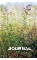 Journal: Along the Trail - 100 Page Lined Journal - 6"x 9" Glossy Cover Lined White Paper - Flower Theme