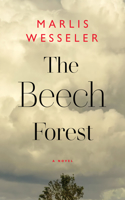 Beech Forest