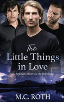 Little Things in Love