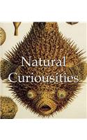 Natural Curiousities