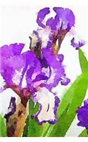 Iris Notebook