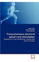 Transcutaneous electrical spinal cord stimulation