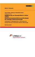 Lokalisierung von Nanopartikeln in Zellen mittels Rastertransmissionselektronenmikroskopie bei niedriger Elektronenenergie