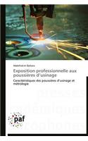 Exposition Professionnelle Aux Poussières D Usinage