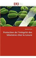 Protection de l''int?grit? Des T?lom?res Chez La Levure