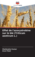Effet de l'azoxystrobine sur le blé (Triticum aestivum L.)