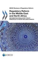 Regulatory Reform in the Middle East and North Africa