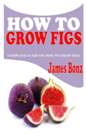 How to Grow Figs: The definitive and concise guide to growing food