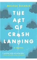 Art of Crash Landing