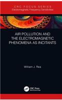 Air Pollution and the Electromagnetic Phenomena as Incitants