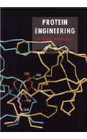 Protein Engineering