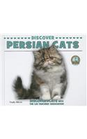 Discover Persian Cats