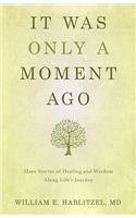 It Was Only a Moment Ago