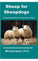 Sheep for Sheepdogs