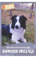Unbelievable Pictures and Facts About Border Collies