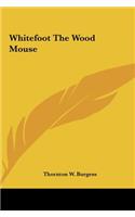 Whitefoot the Wood Mouse