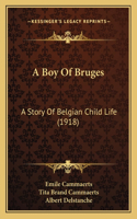 A Boy Of Bruges