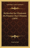 Recherches Sur L'Anatomie Du Poumon Chez L'Homme (1859)