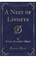 A Nest of Linnets (Classic Reprint)