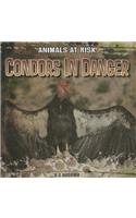 Condors in Danger: (Animals at Risk)