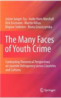 Many Faces of Youth Crime
