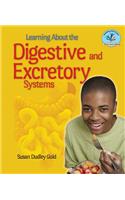 Learning about the Digestive and Excretory Systems