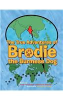 True Adventures of Brodie the Burmese Dog