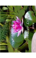 Water Lilies 2014