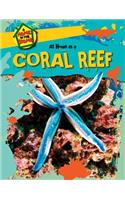 At Home in a Coral Reef