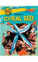 At Home in a Coral Reef: (Home in the Biome)