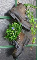 Old Mountain Boots as Flower Pots Journal: 150 Page Lined Notebook/Diary