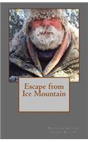 Escape from Ice Mountain