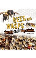 Bees and Wasps