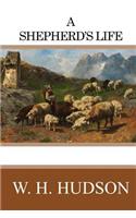 A Shepherd's Life