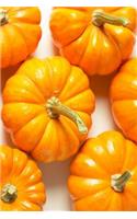 Journal Small Pumpkins Fall Autumn