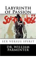 Labyrinth of Passion