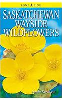 Saskatchewan Wayside Wildflowers